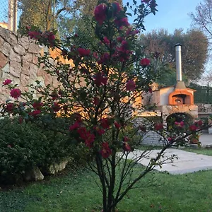  Appartamento Damiano Italia